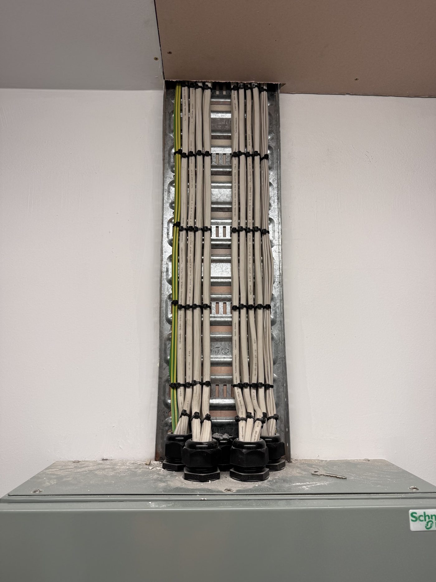 Neatly bundled cables entering the top of a switchboard through a row of cable glands